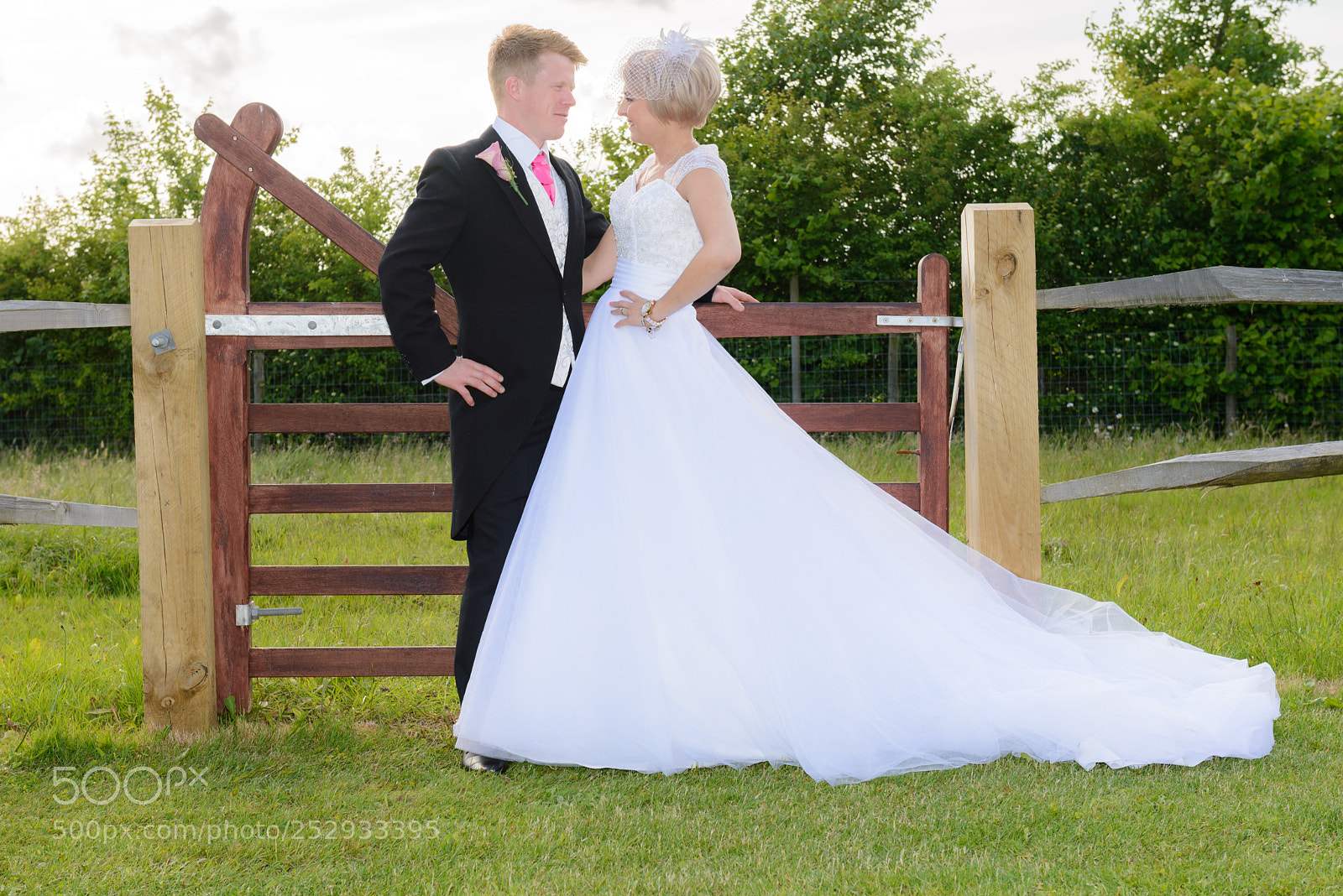 Nikon D610 sample photo. Untitled photography