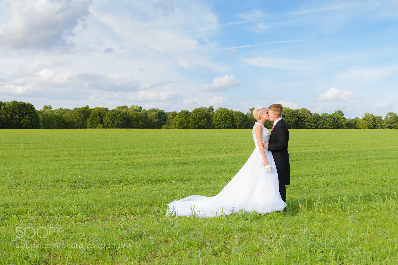 Nikon D610 sample photo. Untitled photography