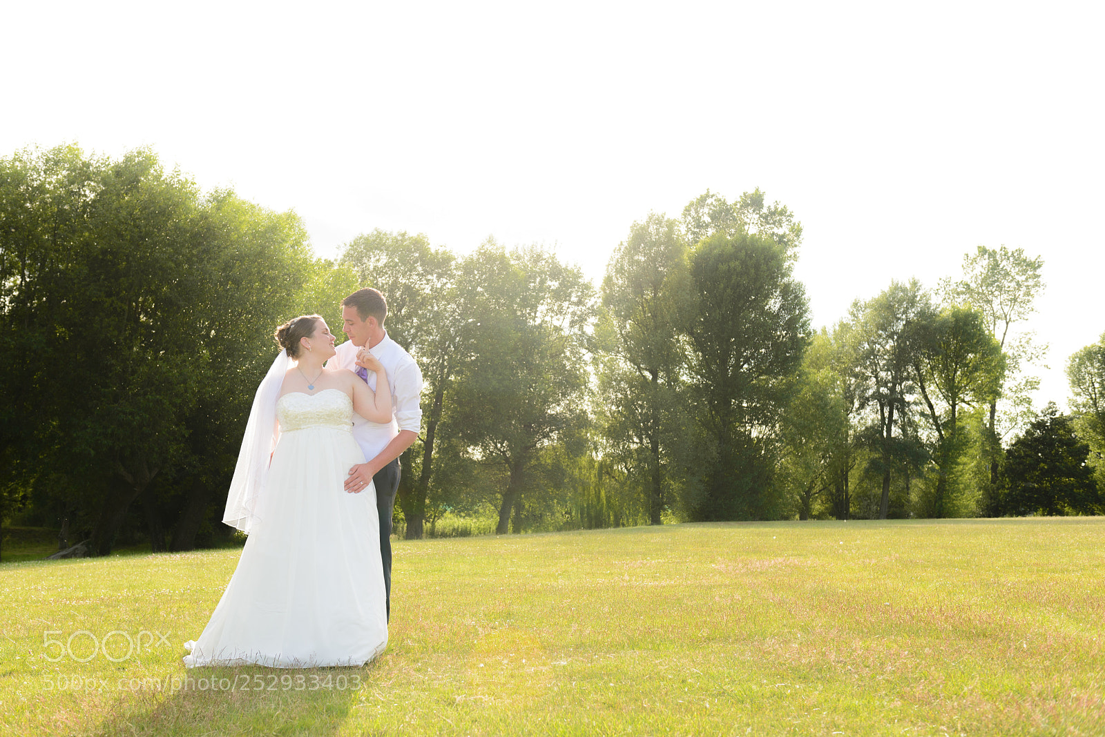 Nikon D610 sample photo. Untitled photography