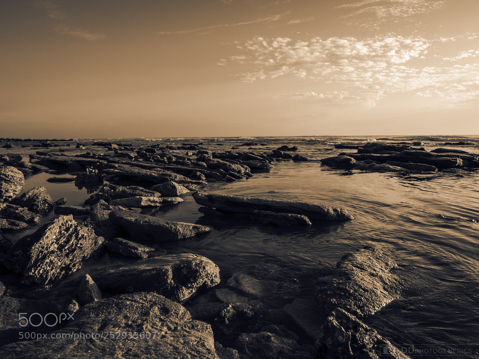 Olympus OM-D E-M1 sample photo. Solemn sunrise photography