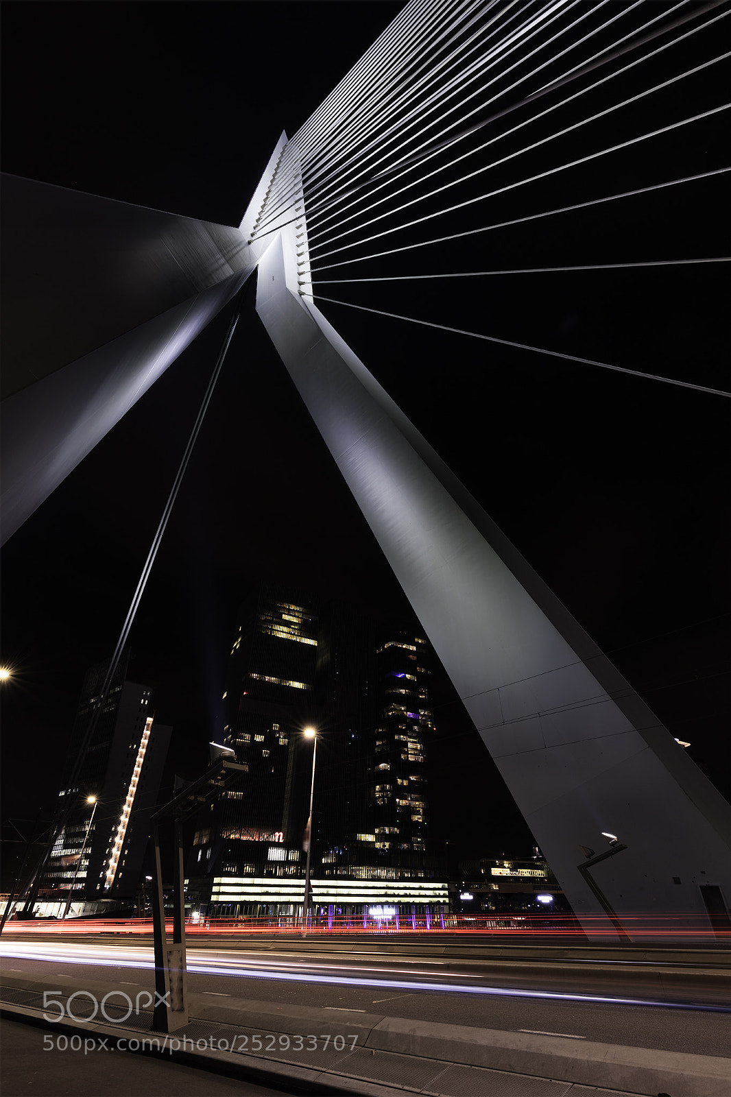 Canon EOS 5DS R sample photo. Erasmusbrug photography