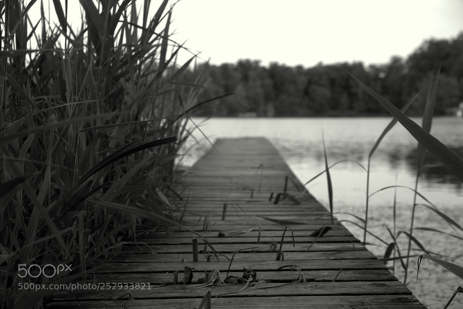Canon EF-S 18-135mm F3.5-5.6 IS sample photo. Pier photography