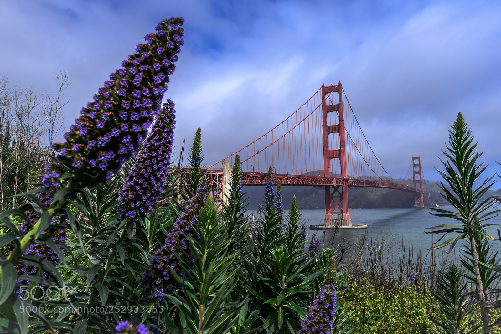 Nikon D850 sample photo. Golden gate bridge photography