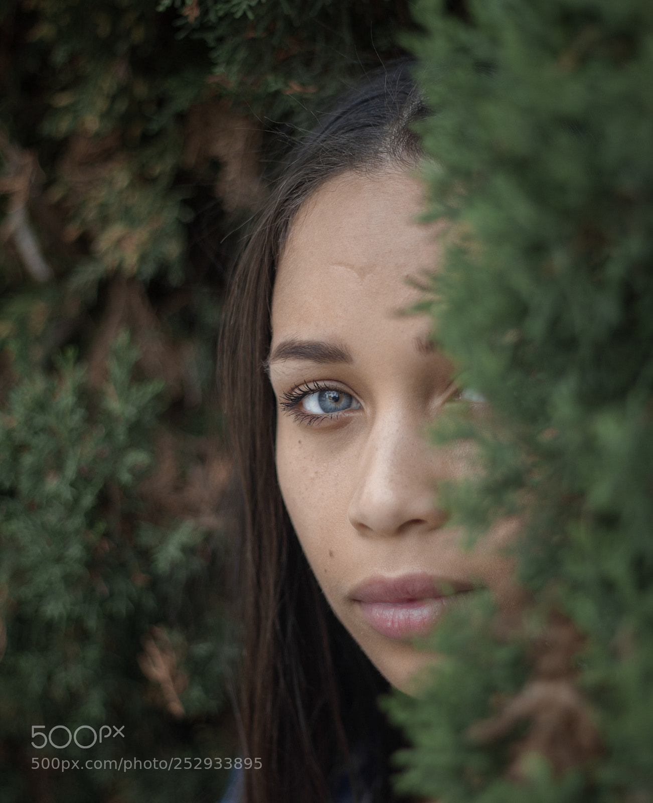 Canon EOS 7D sample photo. Some fairytale myth  photography