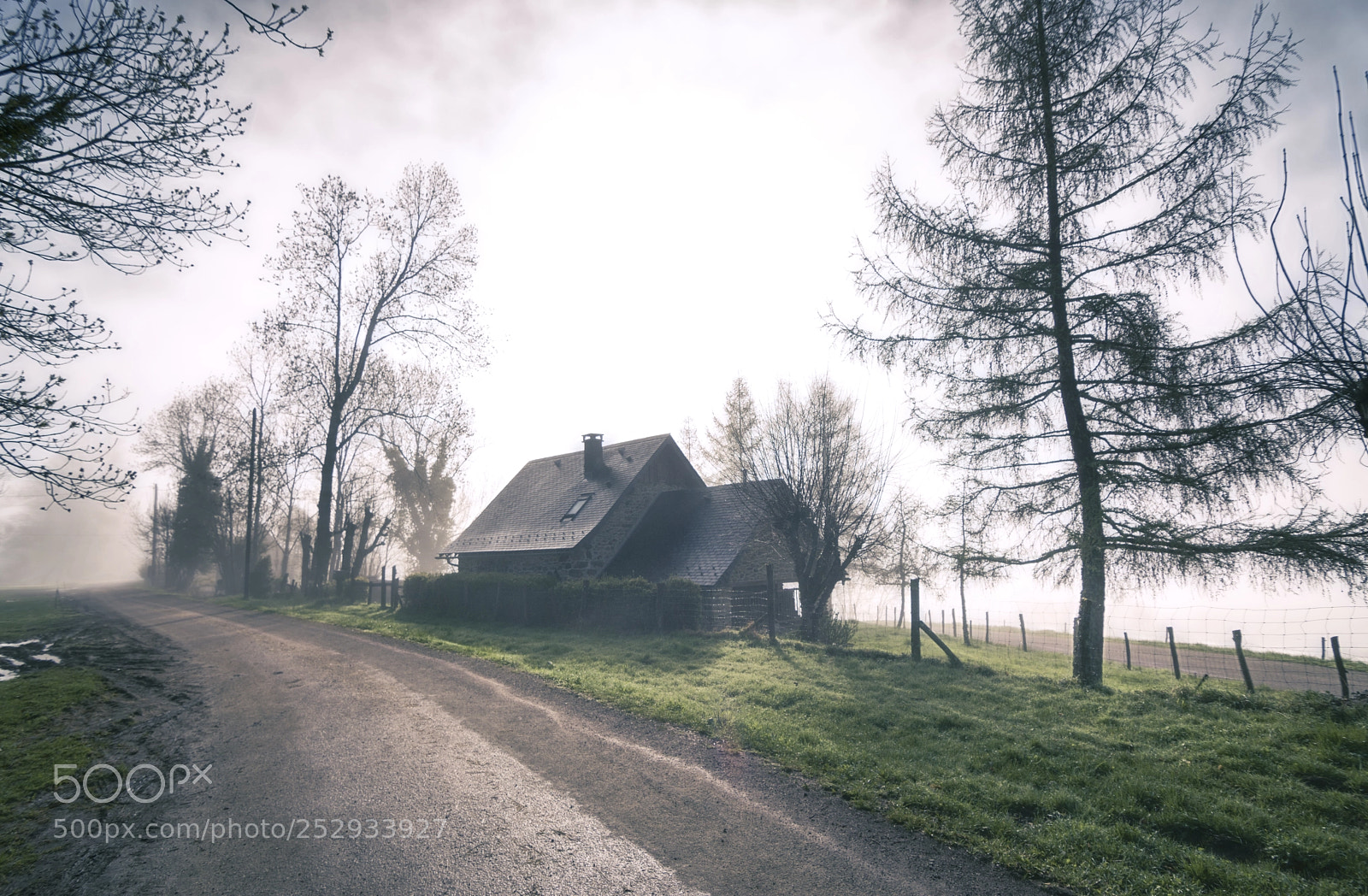 Nikon D5500 sample photo. Morning mist photography