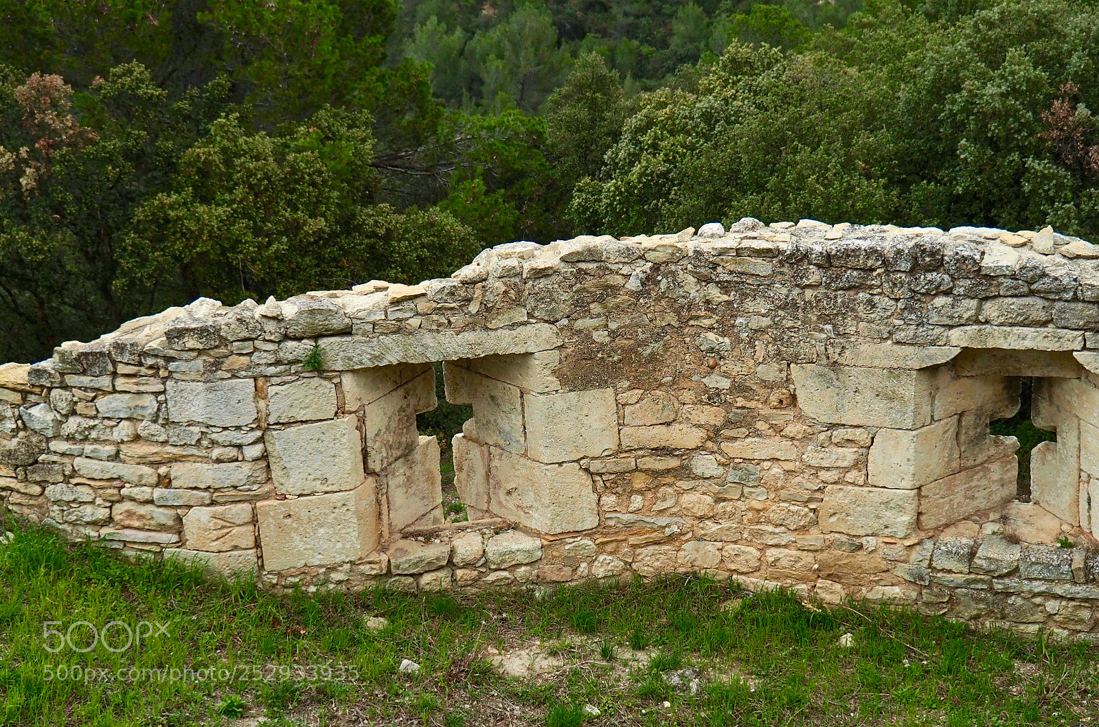 Olympus OM-D E-M5 II sample photo. St roman abbey photography