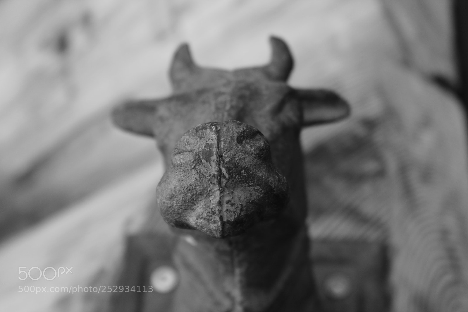Canon EOS 1300D (EOS Rebel T6 / EOS Kiss X80) sample photo. La vache photography