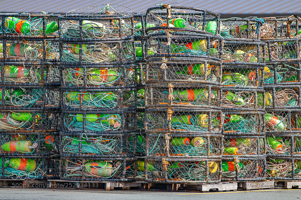 Canon EOS 70D sample photo. Crab pots at citizen's photography