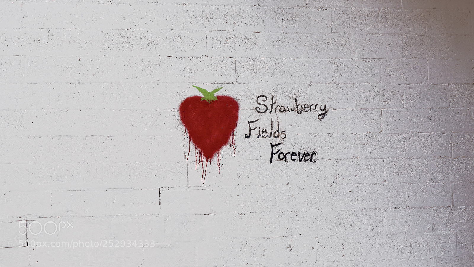 Sony Cyber-shot DSC-RX100 II sample photo. Strawberry fields forever  photography