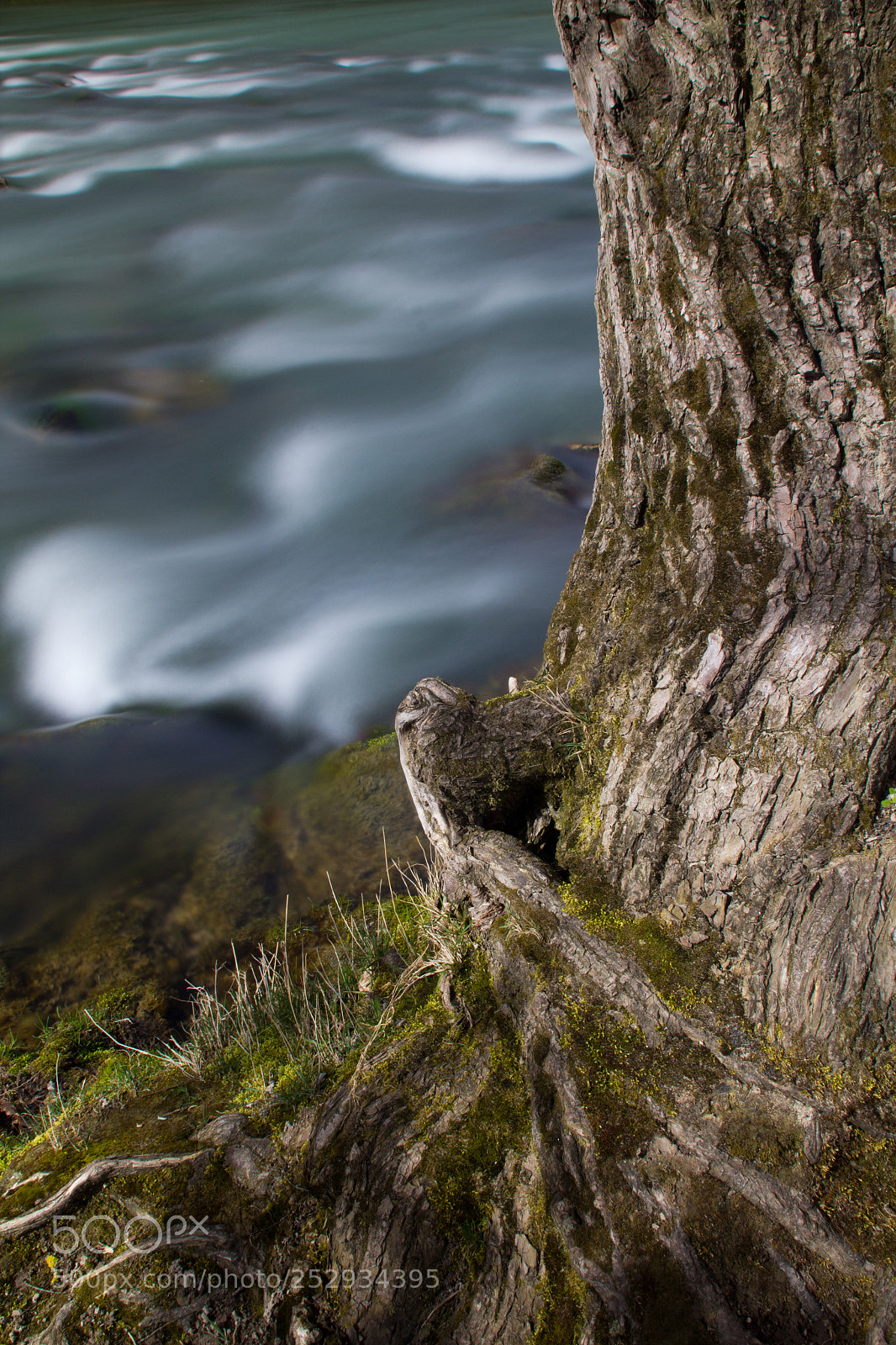 Canon EOS 600D (Rebel EOS T3i / EOS Kiss X5) sample photo. Stream down... photography