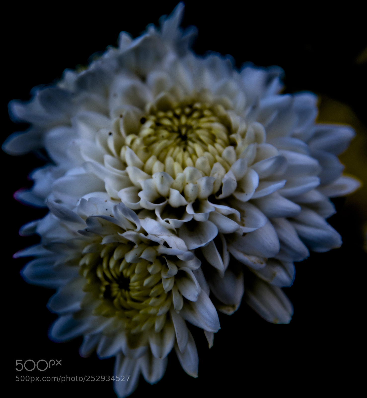 Nikon D810 sample photo. Believe me in every photography