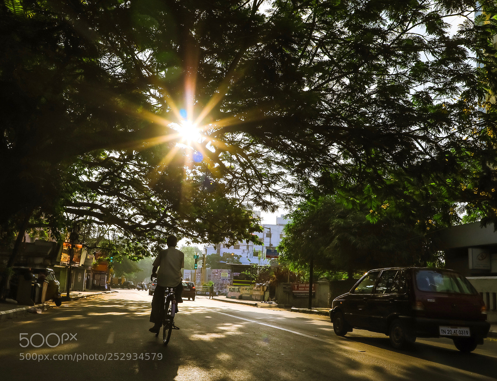 Canon EOS 5D Mark IV sample photo. A new beginning! photography