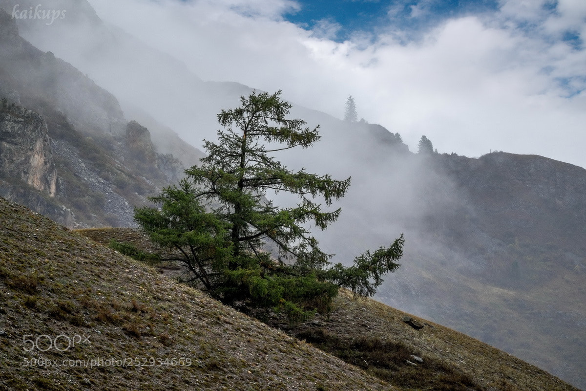 Fujifilm X-T1 sample photo. Russia. the south of photography