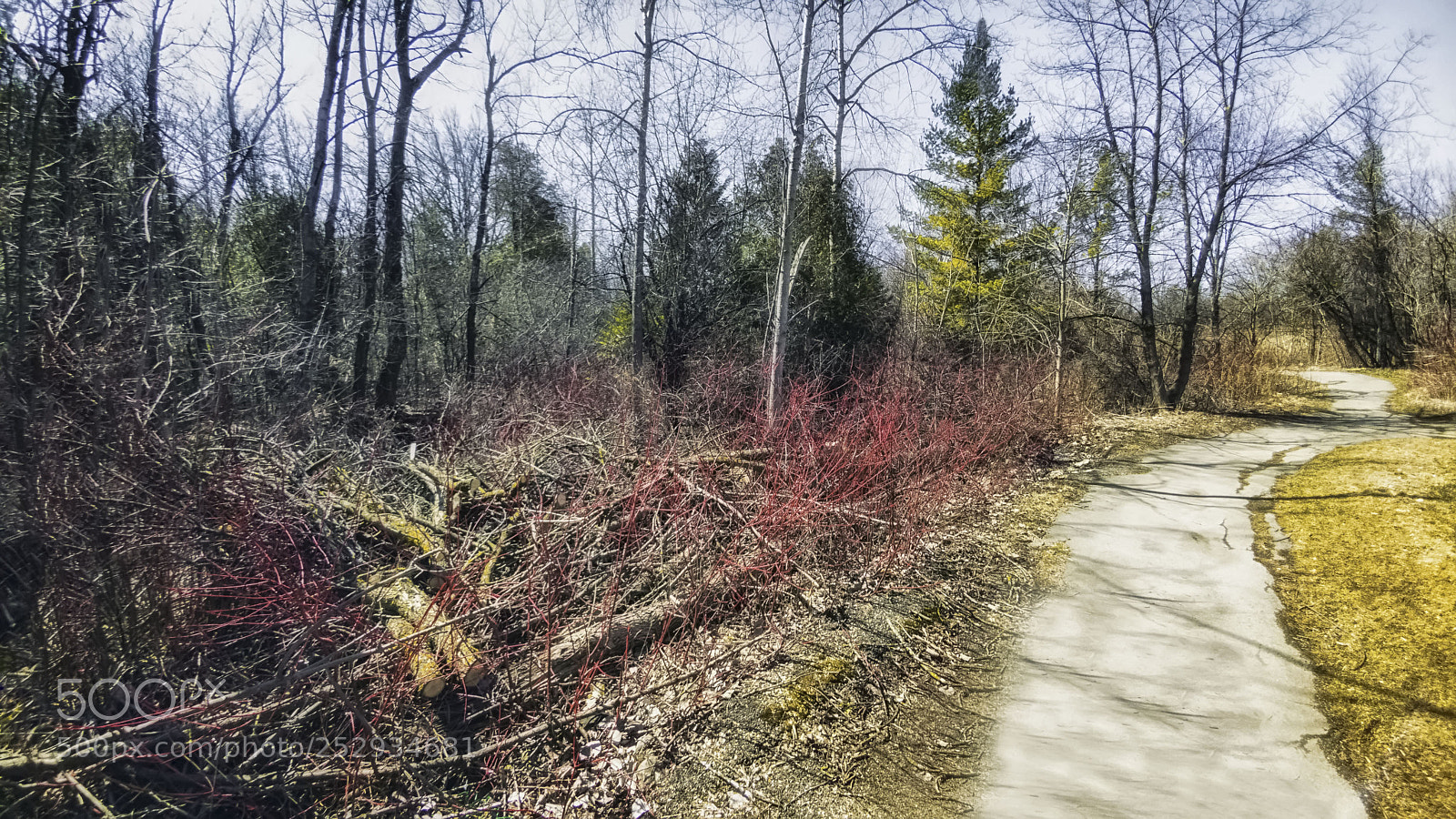 LG G5 sample photo. Mill pond park photography