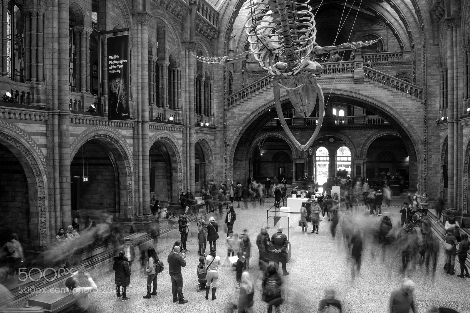 Nikon D3100 sample photo. London photography