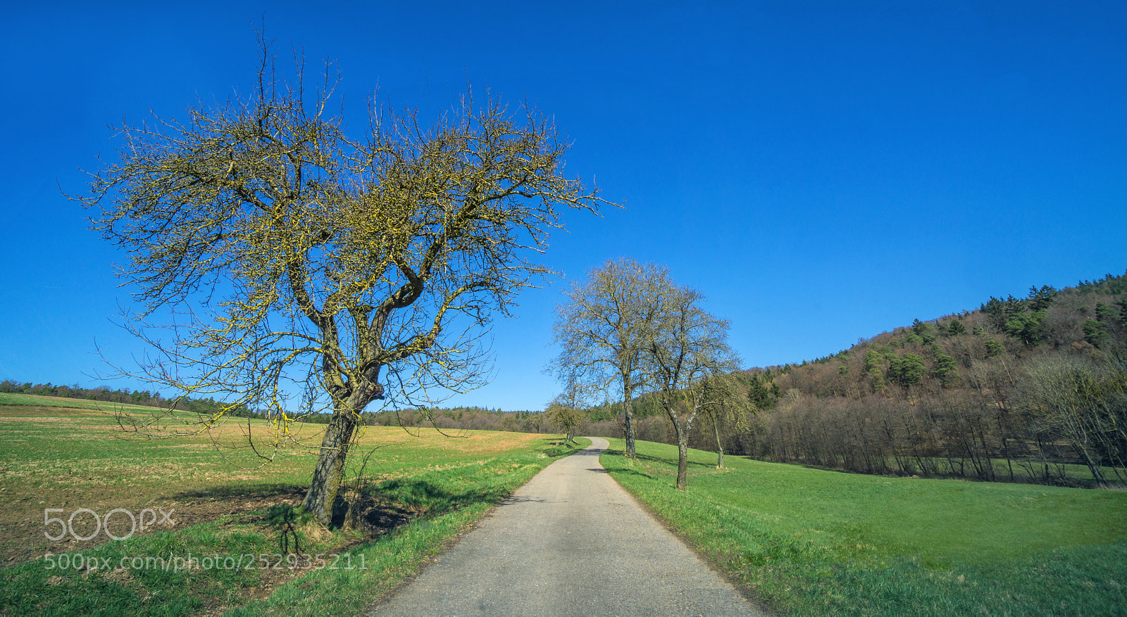 Sony a6000 sample photo. Landscape view to the photography