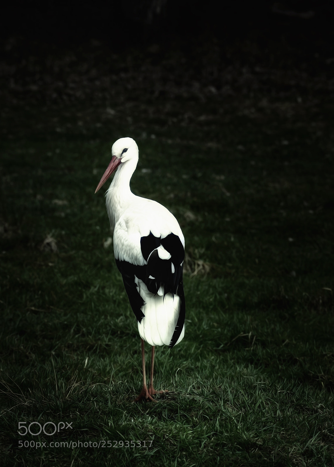 Sony a7 sample photo. The gentleman photography