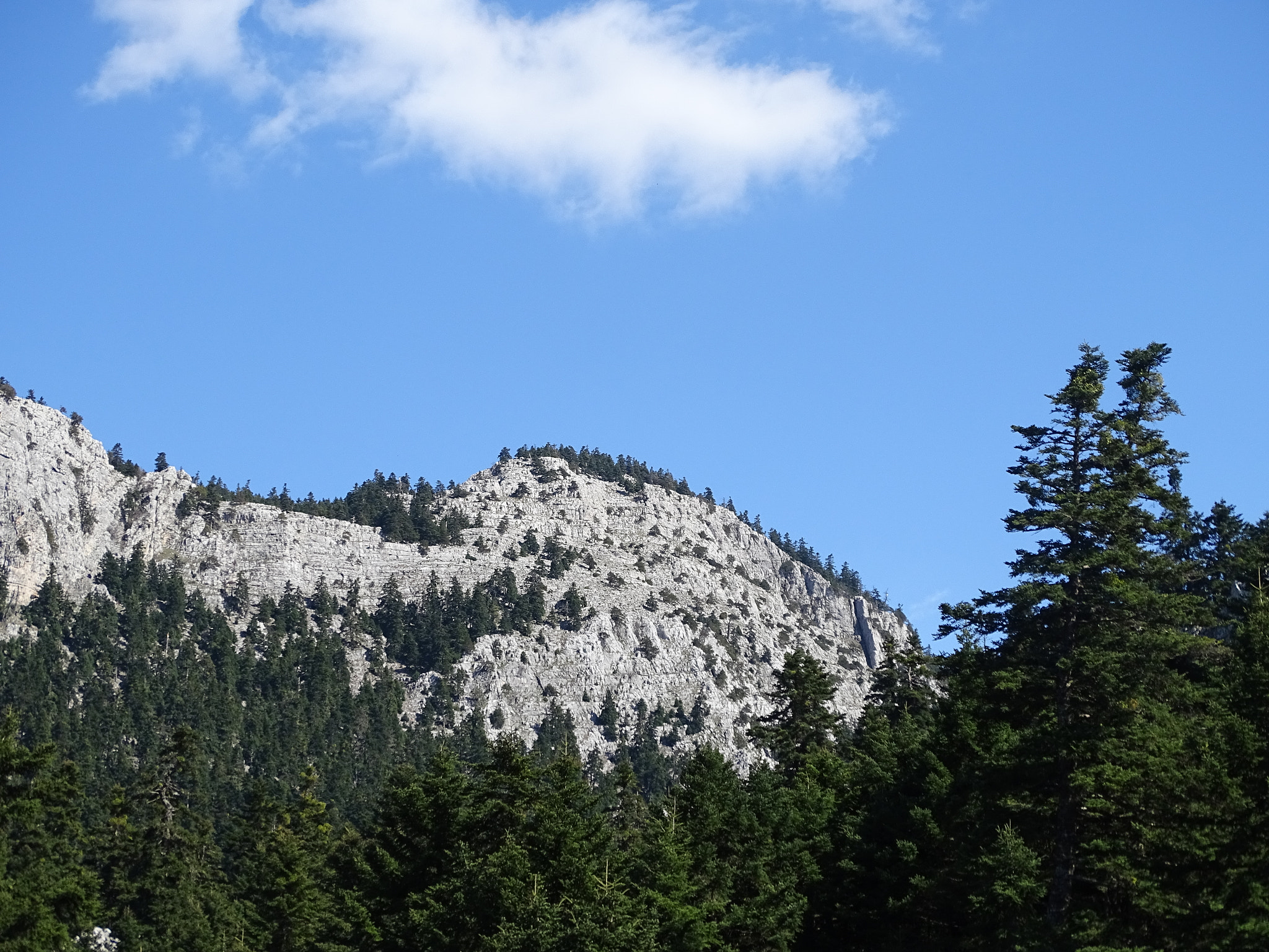 Sony Cyber-shot DSC-HX350 sample photo. Stone mountain photography