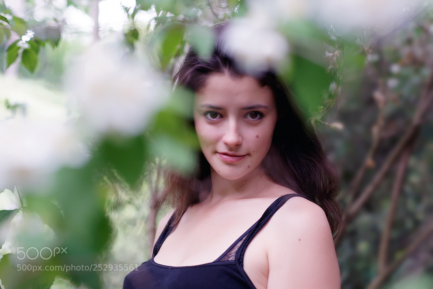 Sony Alpha DSLR-A900 sample photo. Diane photography