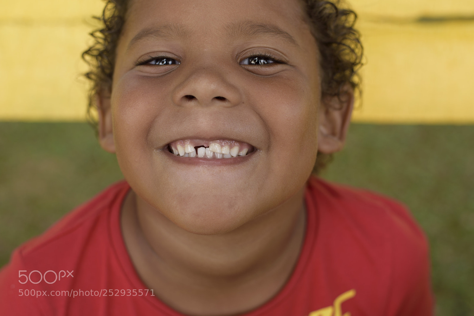 Nikon D810 sample photo. Journey for the poor photography