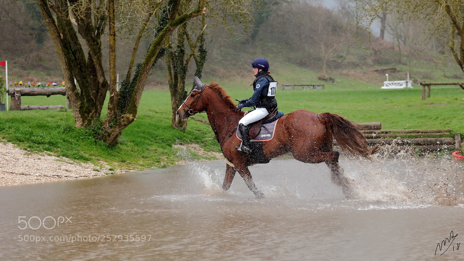 Canon EOS 5D Mark IV sample photo. One more horse photography