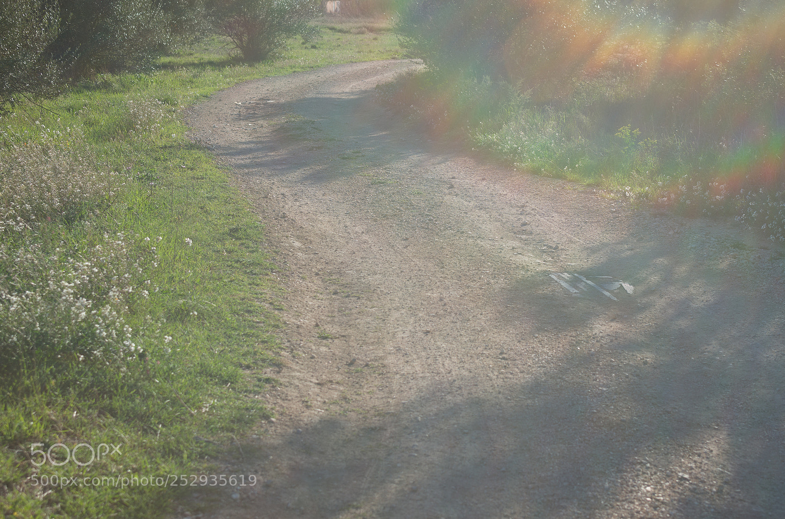 Pentax K-5 IIs sample photo. The path photography