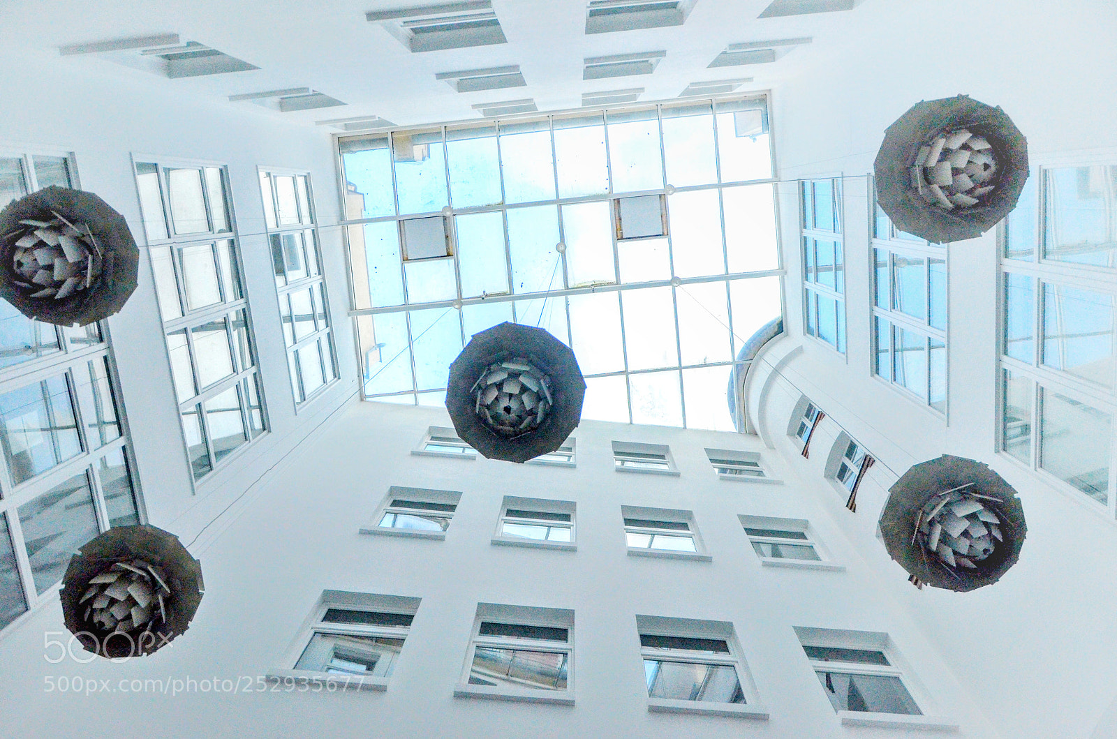 Nikon D7000 sample photo. Untitled photography