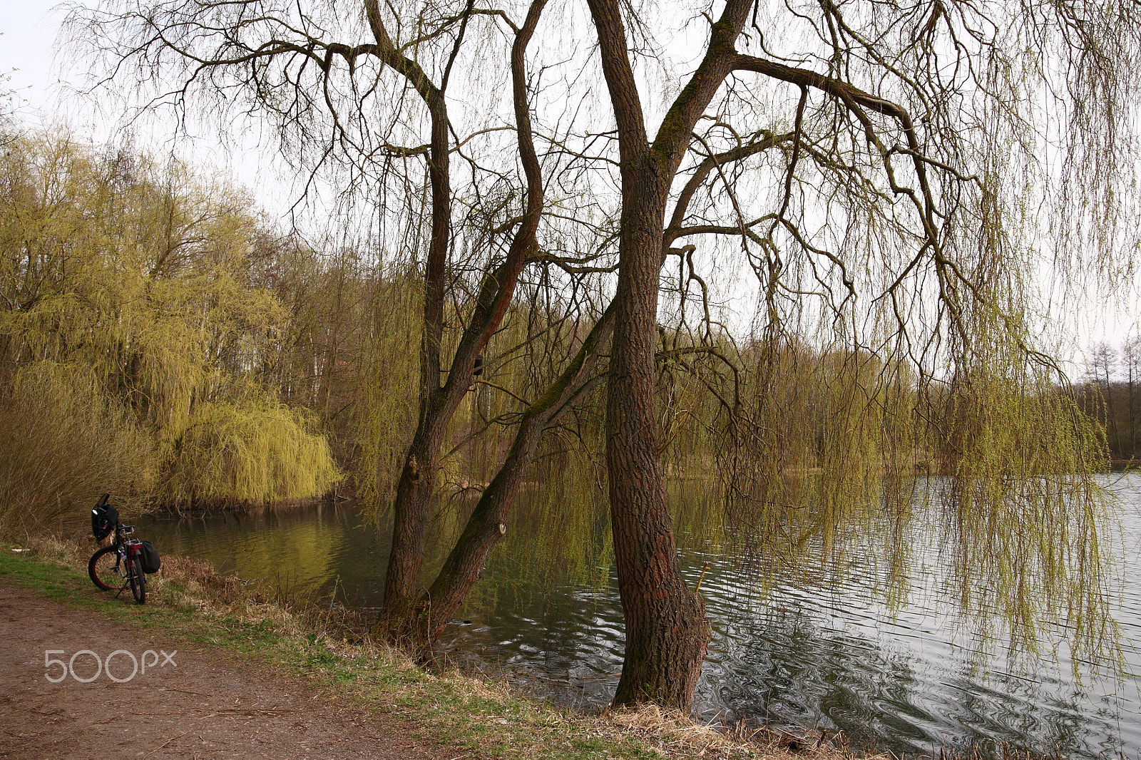 Canon EOS 5D sample photo. Walkway bikeway photography