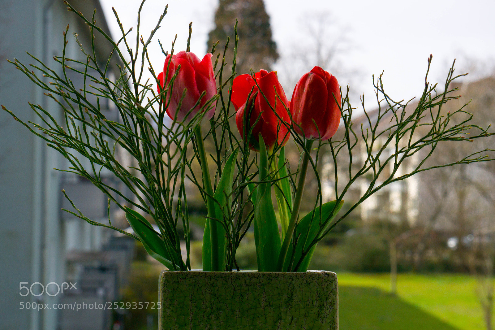 Sony a6000 sample photo. Dsc photography