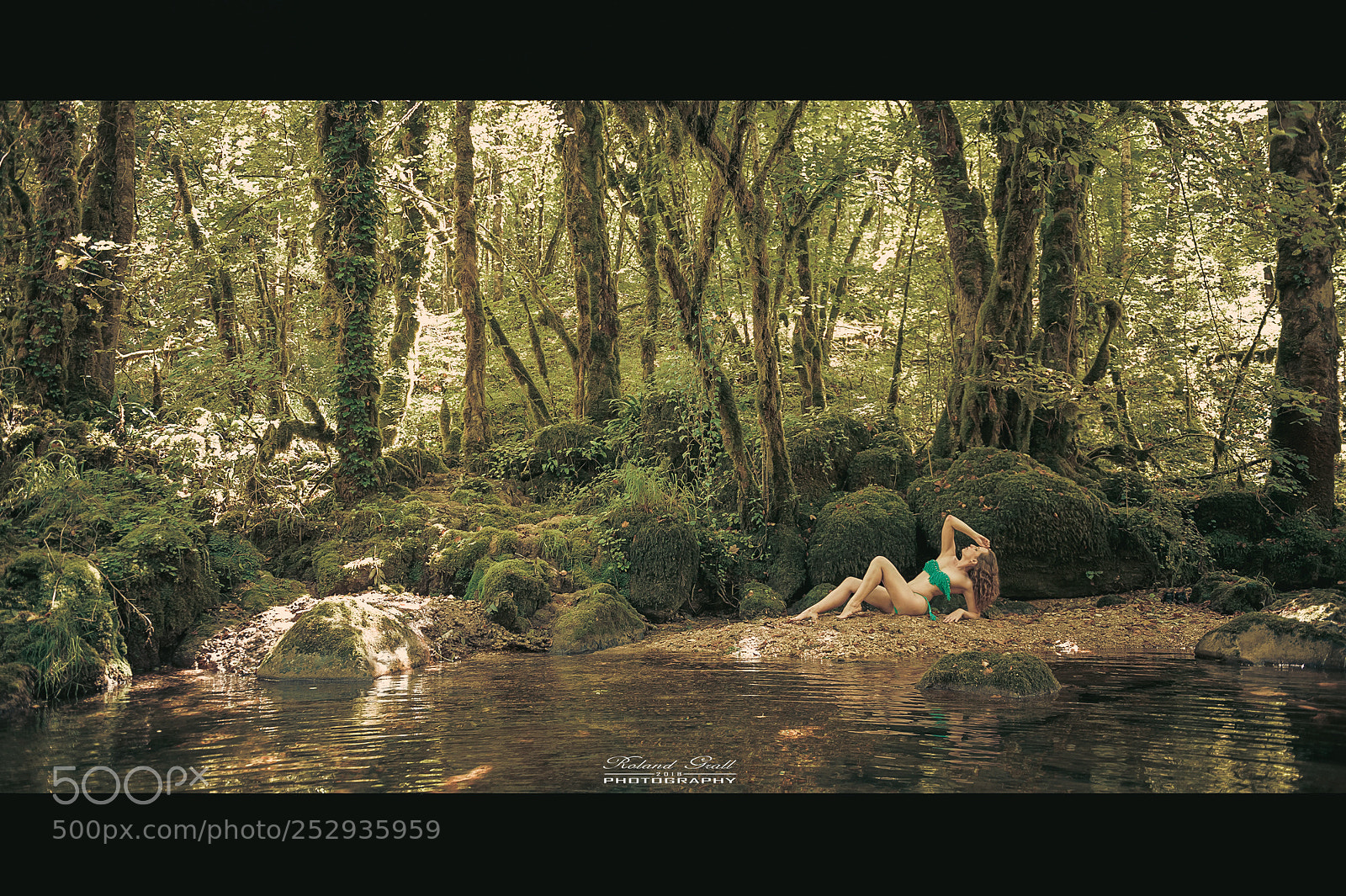 Nikon D3S sample photo. Lost in forest photography