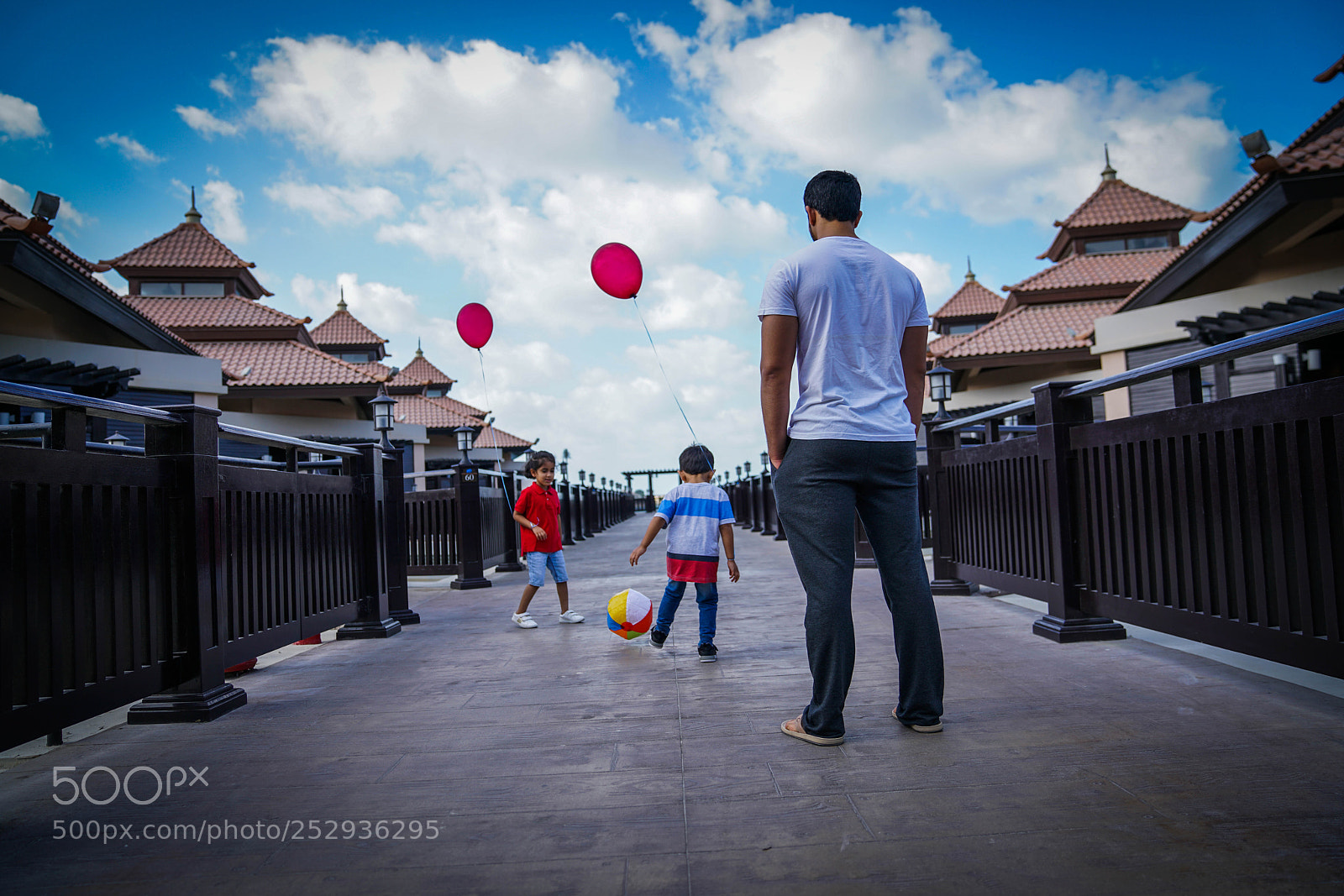 Sony a7R II sample photo. Dsc photography