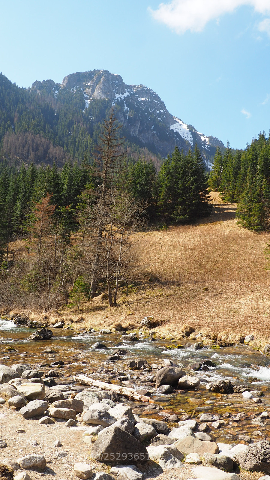 Olympus OM-D E-M10 II sample photo. Lazy stream photography