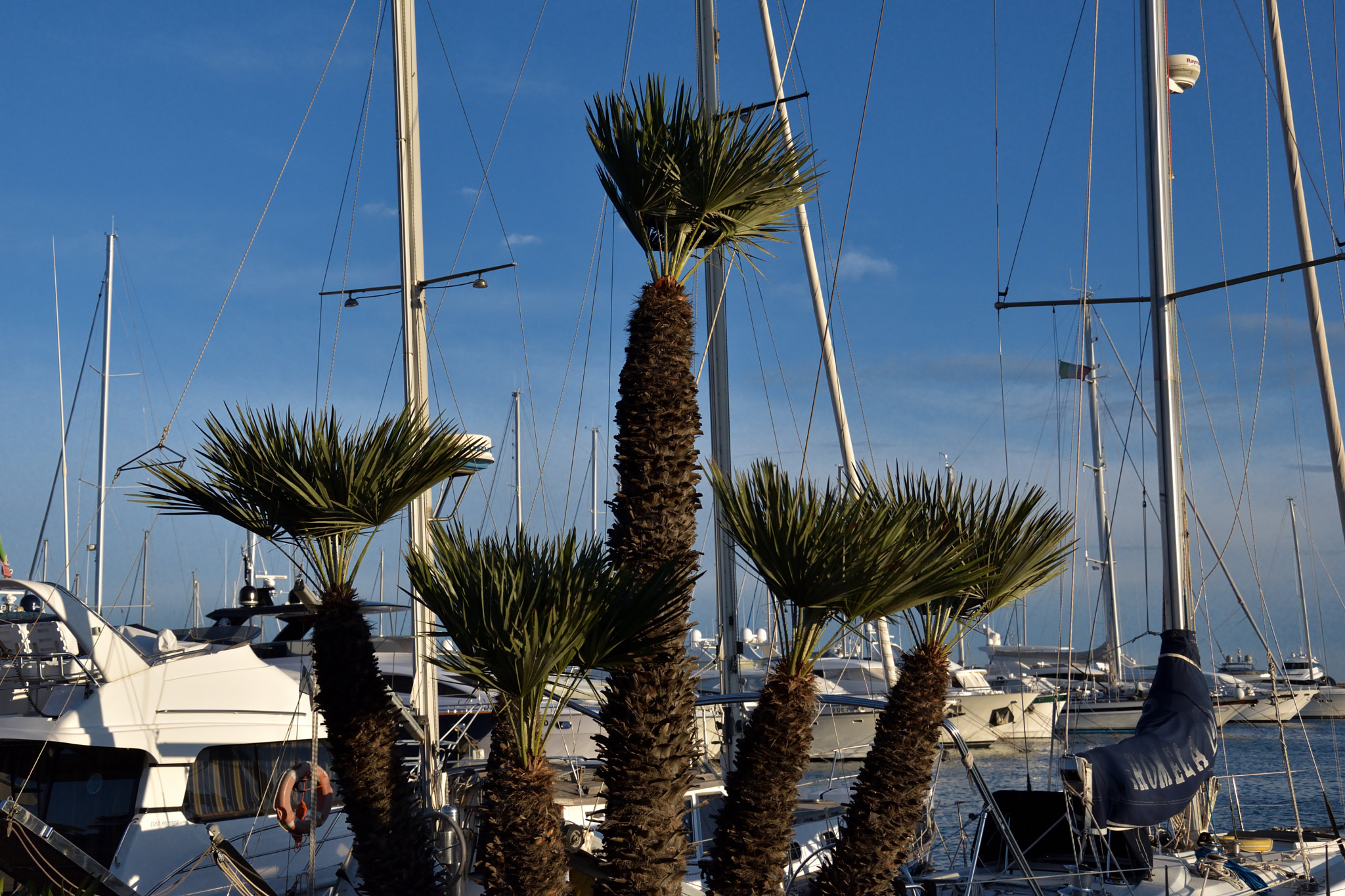 Nikon D5600 sample photo. Sanremo port photography