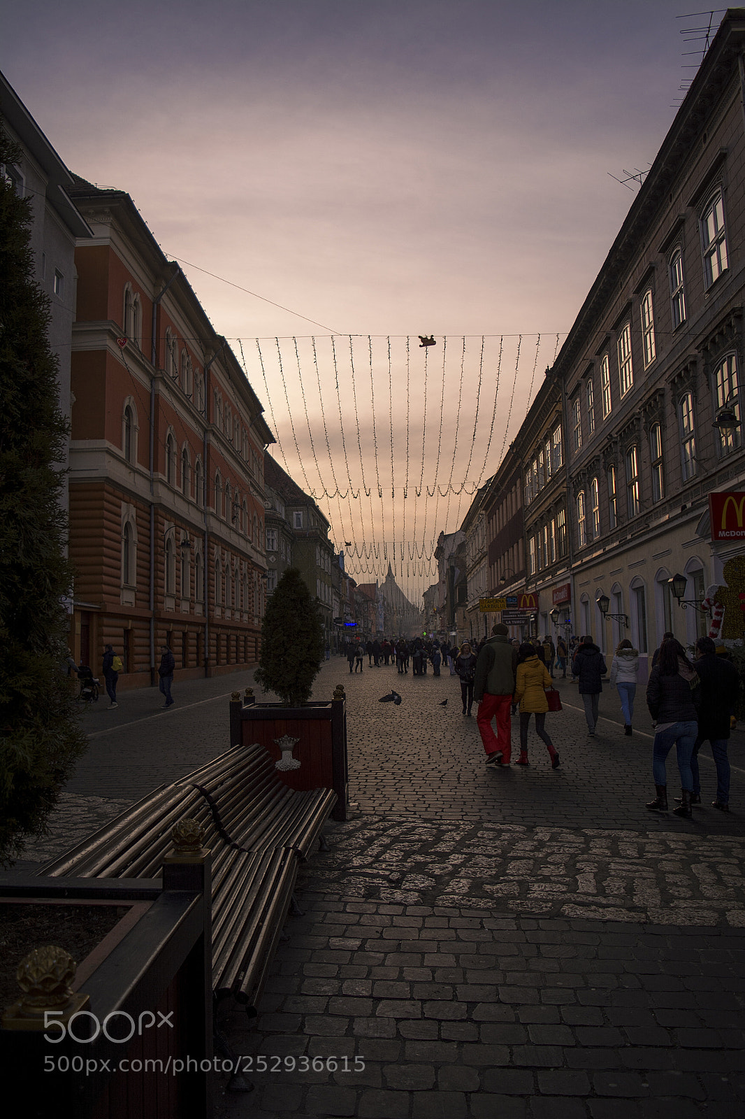 Nikon D5200 sample photo. Brasov photography