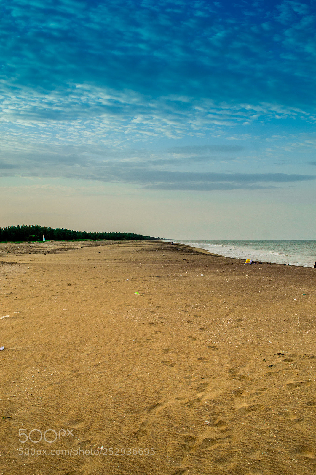 Nikon D3100 sample photo. Converge of three elements photography