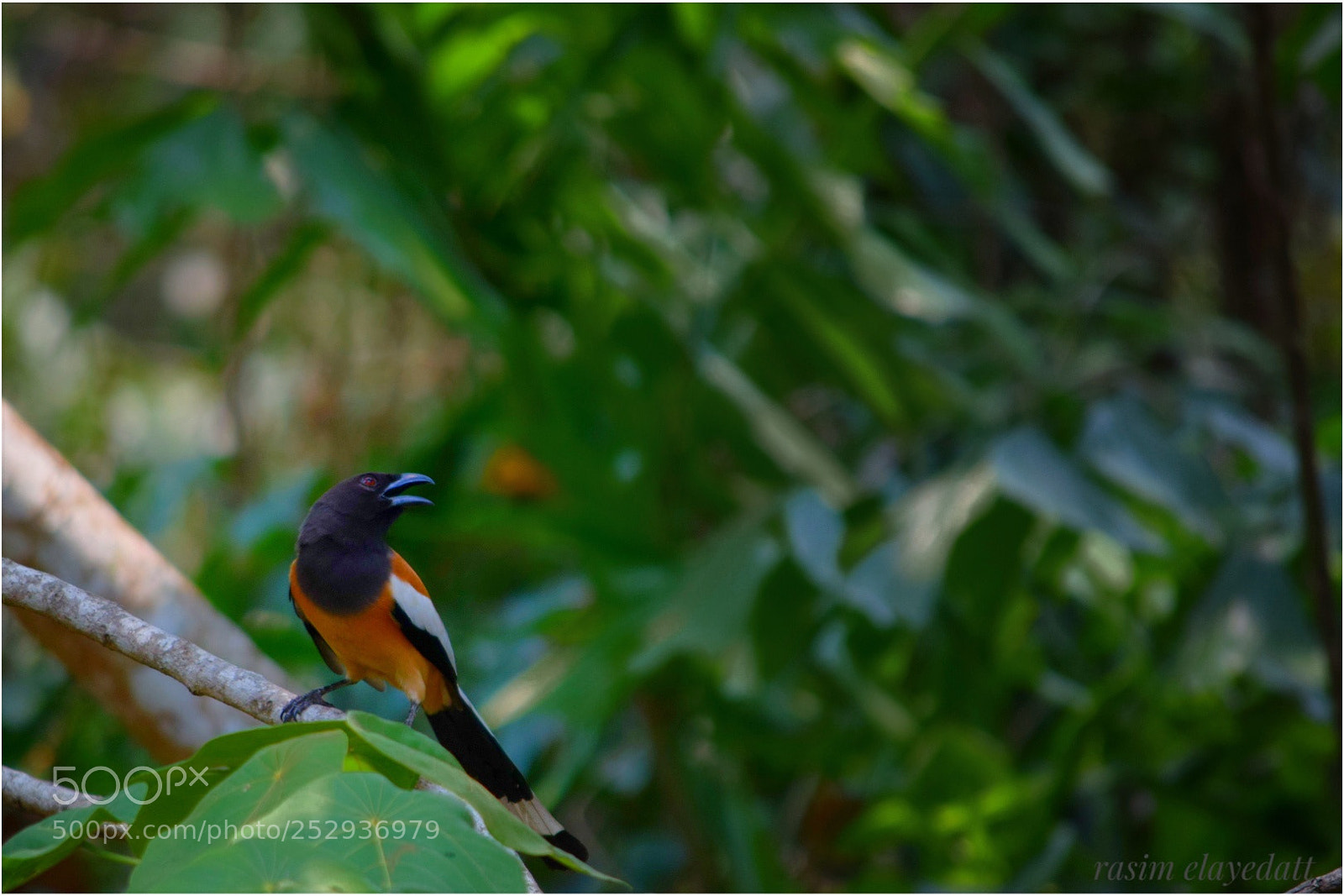 Nikon D5300 sample photo. Untitled photography