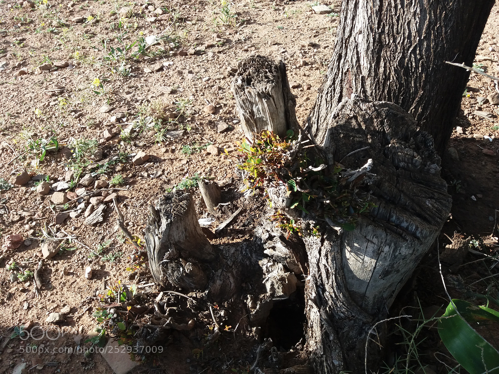 Samsung Galaxy J5(2016) sample photo. 20180407_174356.jpg photography