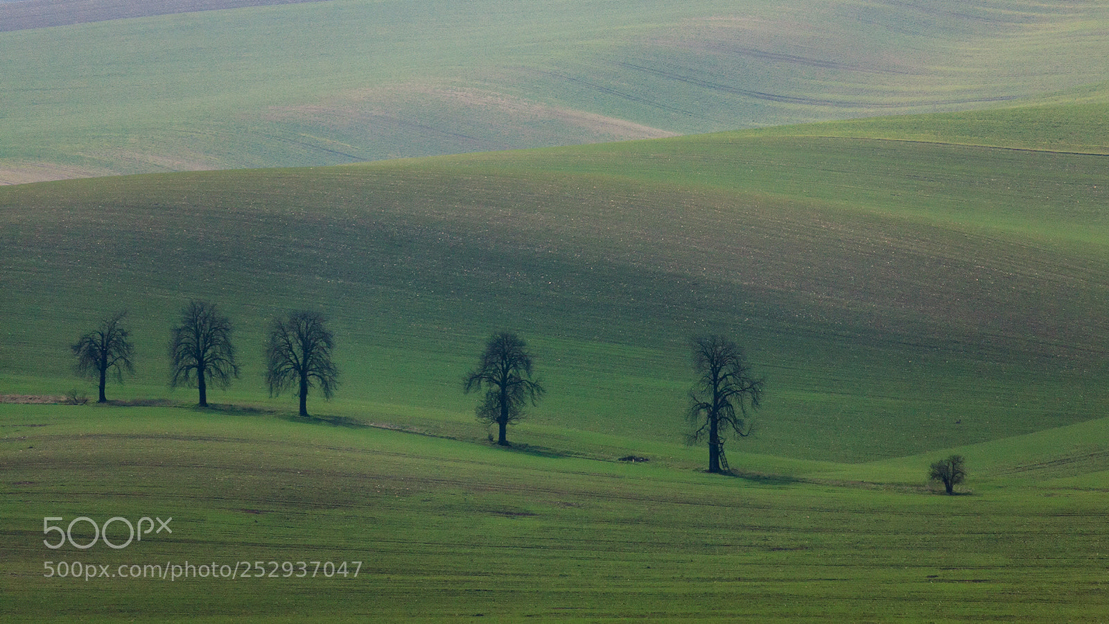 Canon EOS 50D sample photo. Moravian fields photography