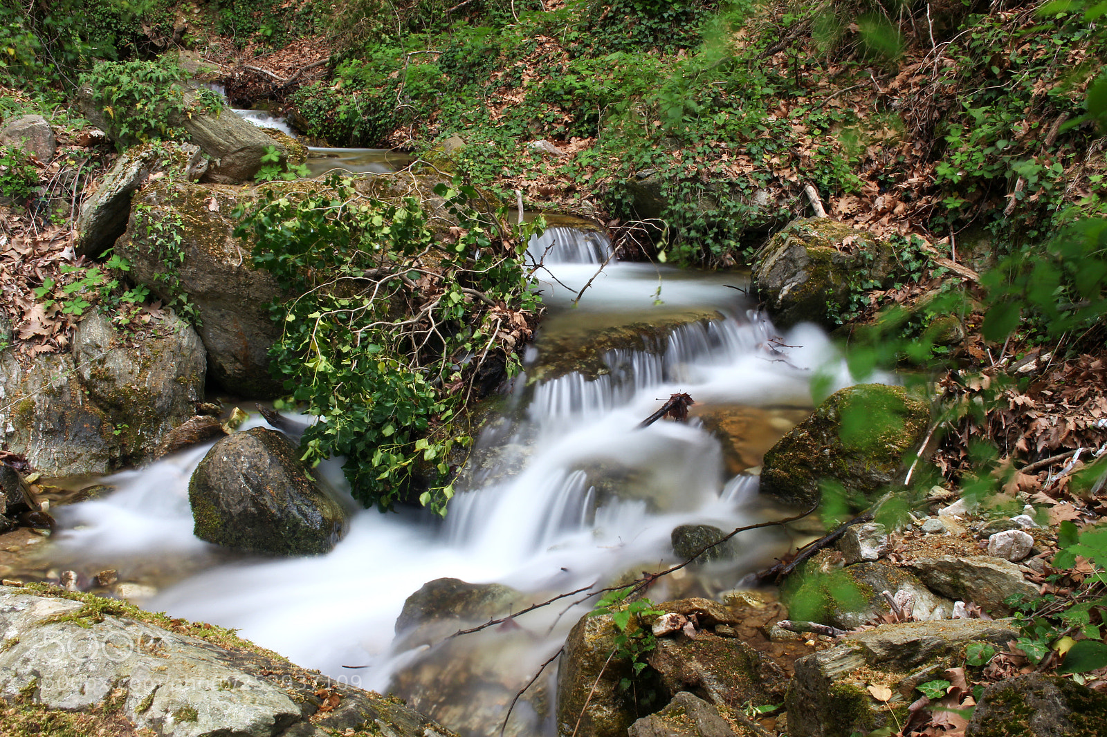 Canon EOS 700D (EOS Rebel T5i / EOS Kiss X7i) sample photo. Img photography