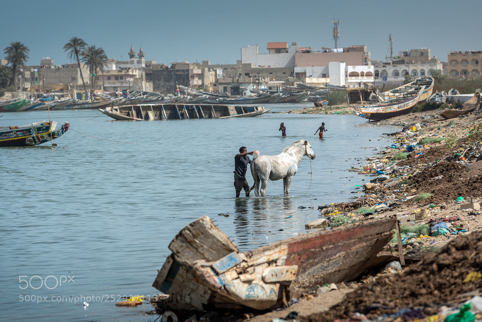 Nikon D800 sample photo. Bathing in the senegal photography