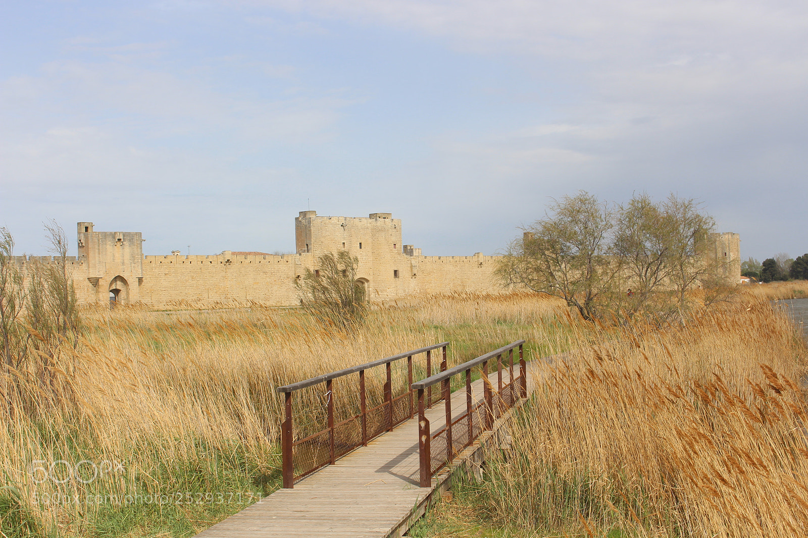 Canon EOS 700D (EOS Rebel T5i / EOS Kiss X7i) sample photo. Is that a painting? photography