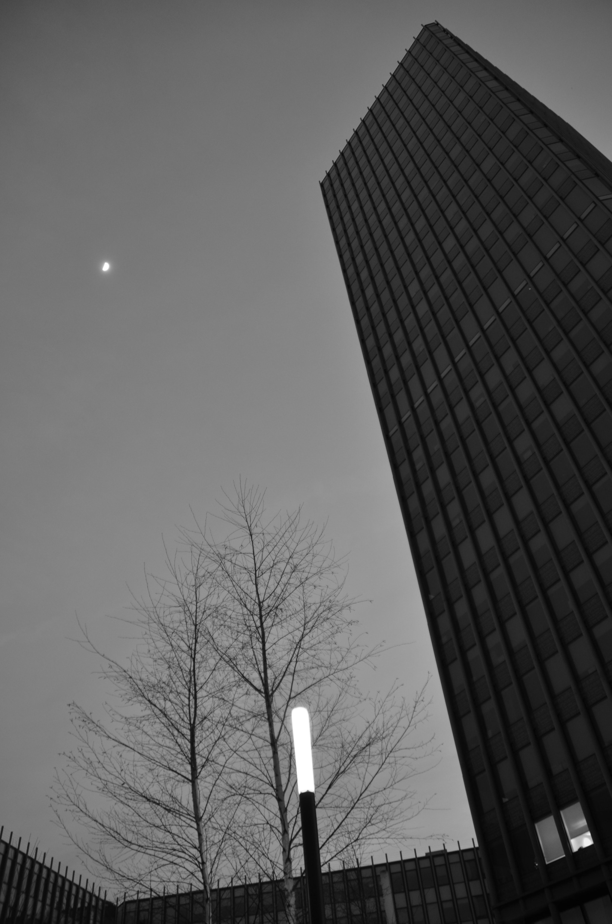 Nikon D7000 sample photo. Jussieu university photography