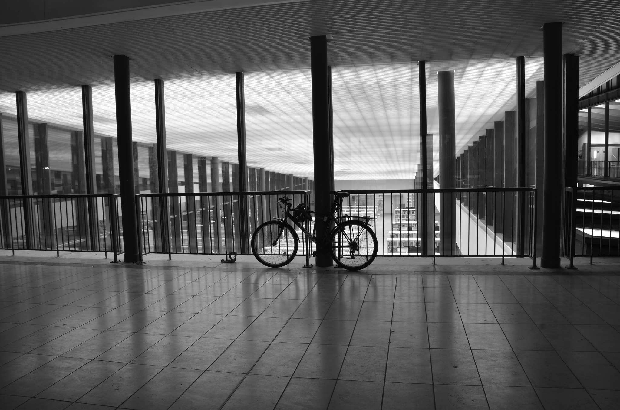 Nikon D7000 sample photo. Jussieu university photography