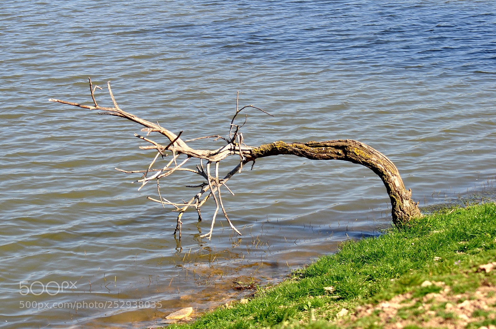 Nikon D5000 sample photo. Untitled photography
