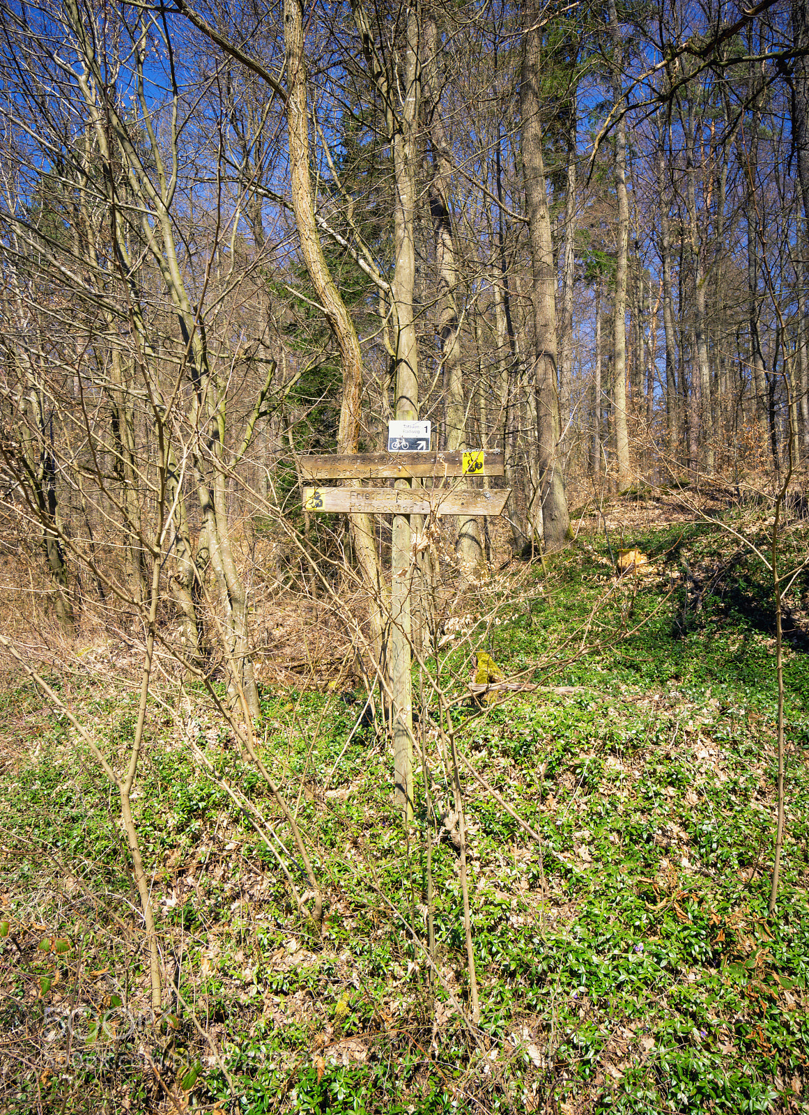 Sony a6000 sample photo. Hiking direction sign in photography