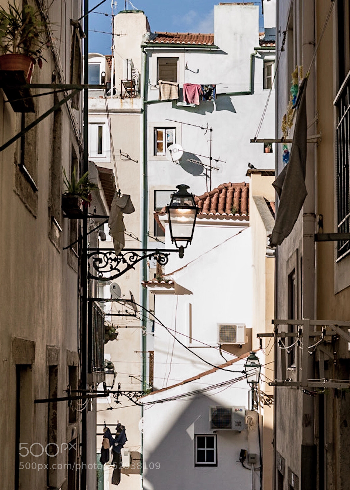 Sony a7R III sample photo. Sous le soleil de photography