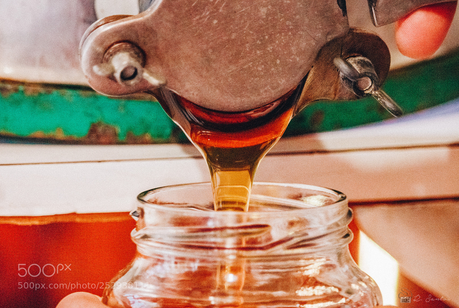Canon EOS 800D (EOS Rebel T7i / EOS Kiss X9i) sample photo. Honey in production photography