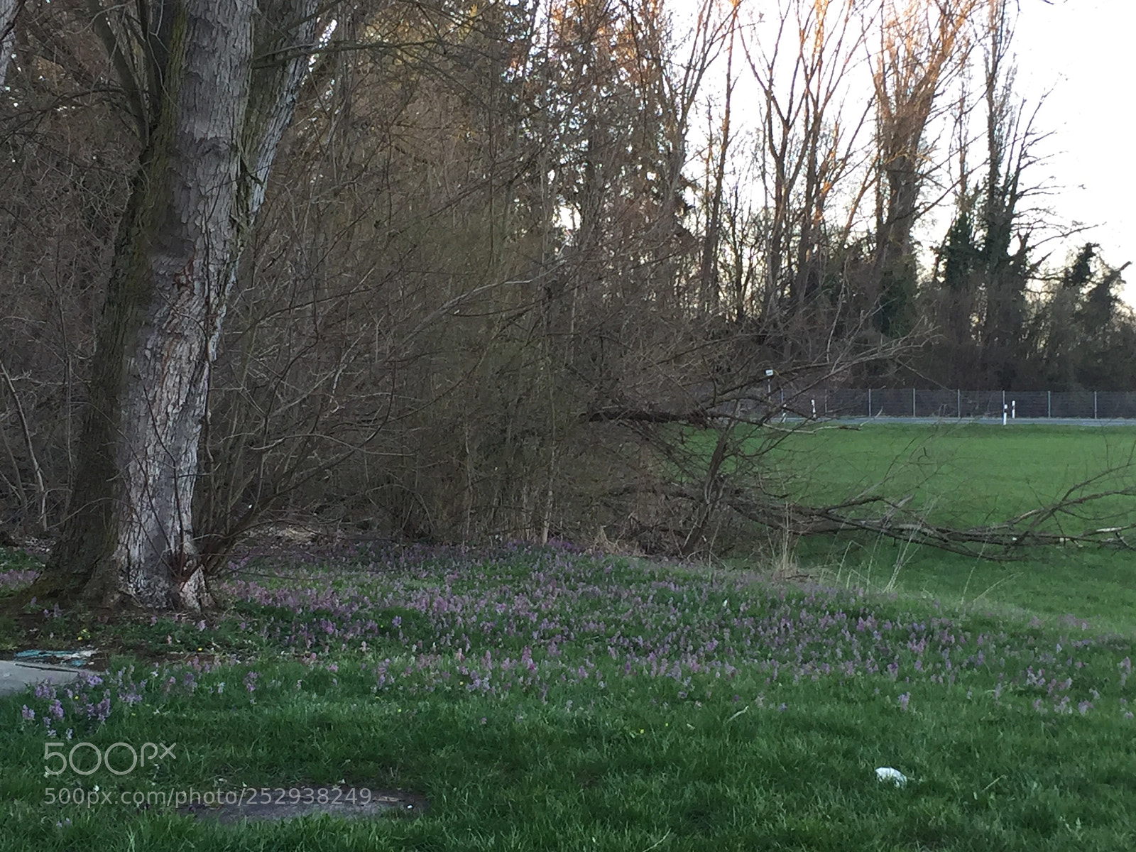 Apple iPhone 6 sample photo. Endlich frühlings photography