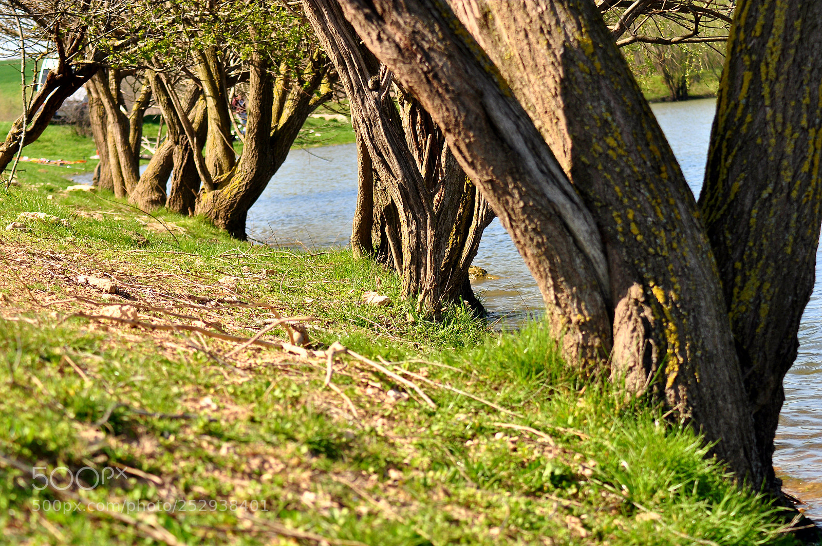 Nikon D5000 sample photo. Untitled photography