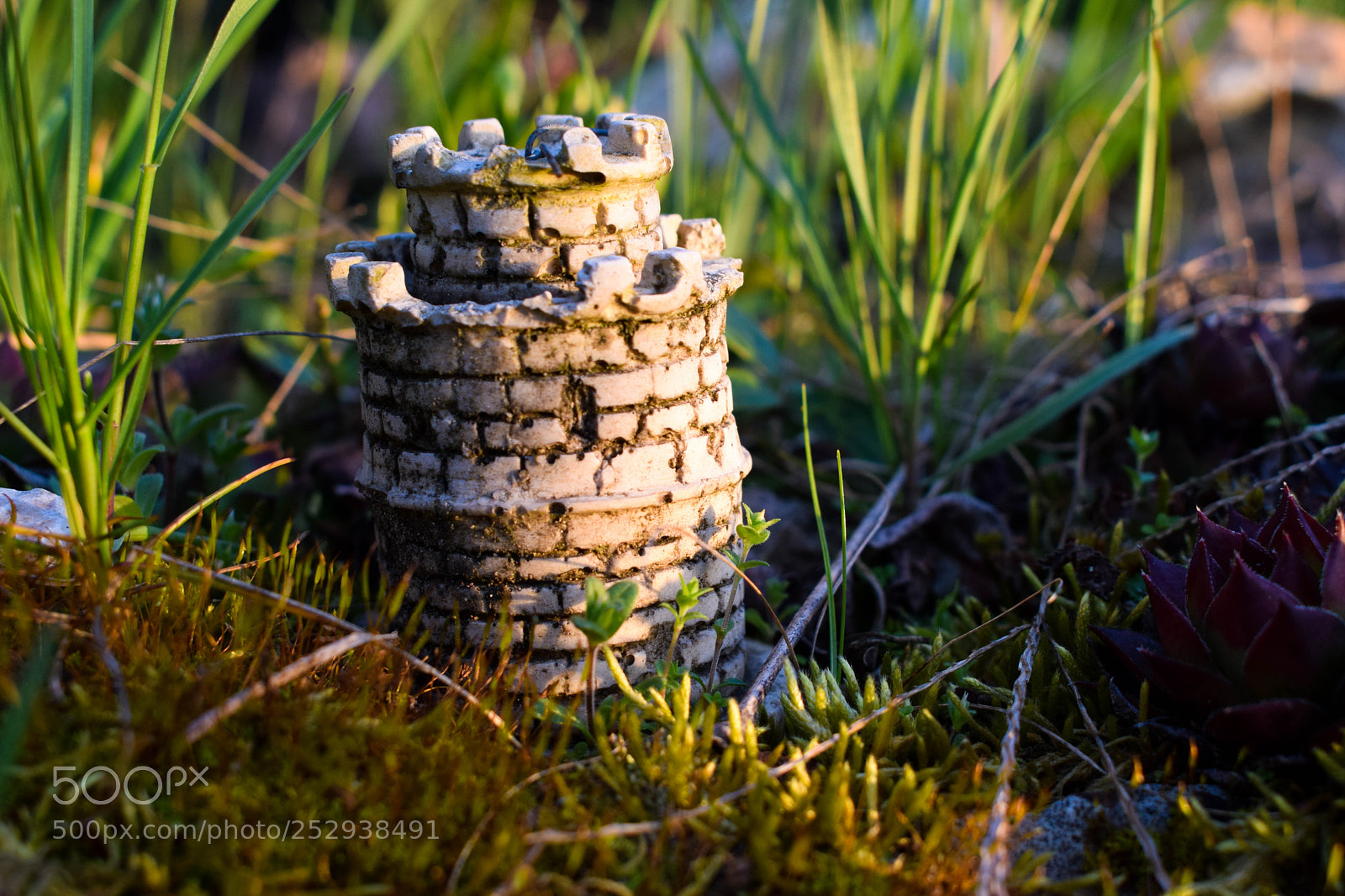 Nikon D3300 sample photo. My little bastion photography